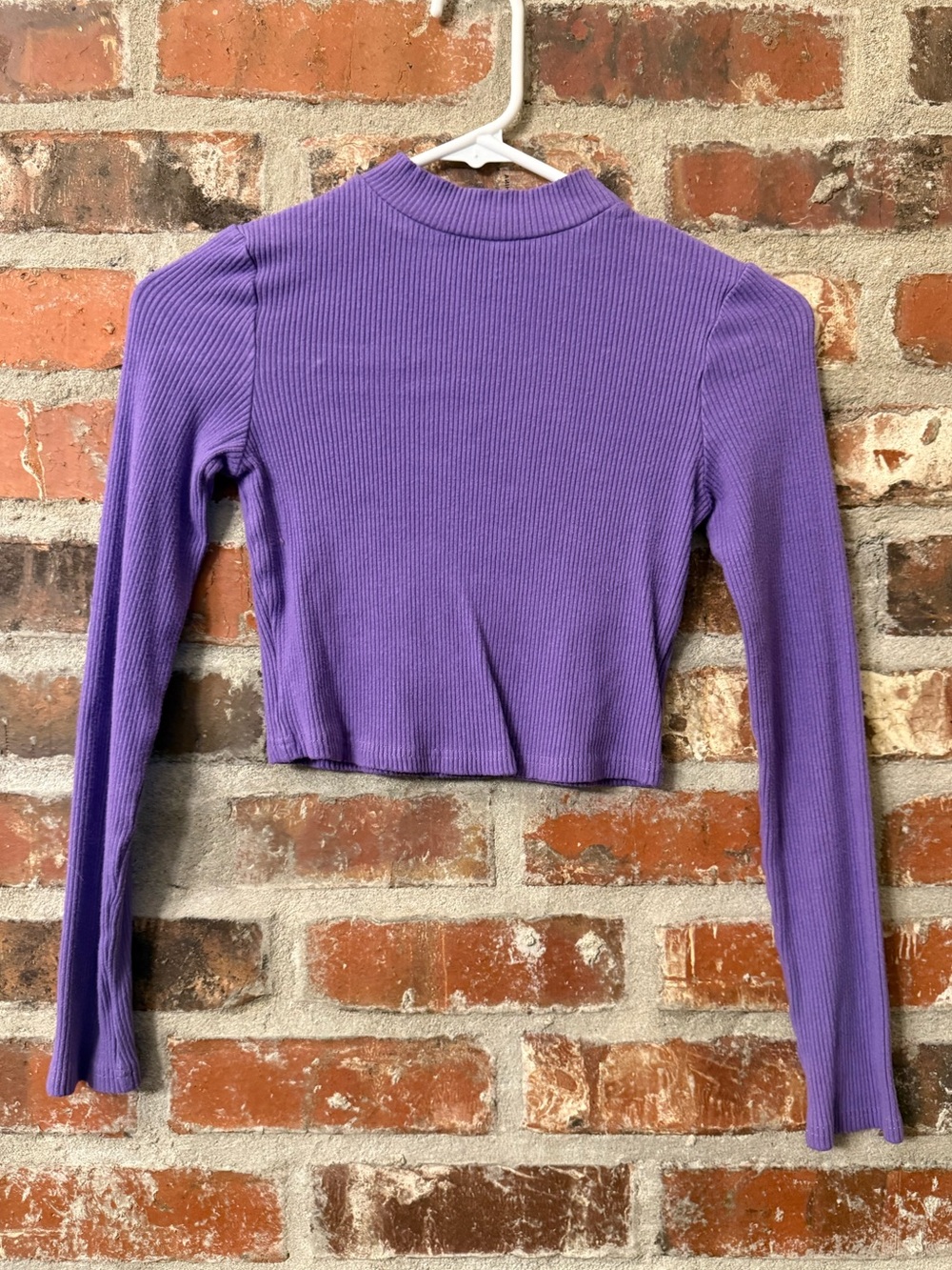 T244 - Mimosa Cropped Ribbed Mockneck Long-Sleeve Top in Purple
